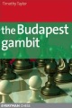 The Budapest Gambit by Timothy Taylor, Everyman, 239 pages, £14.99.